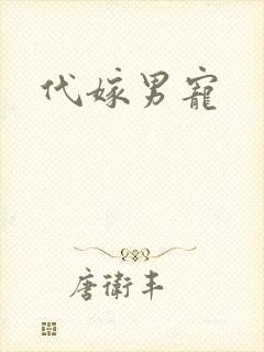 代嫁男宠