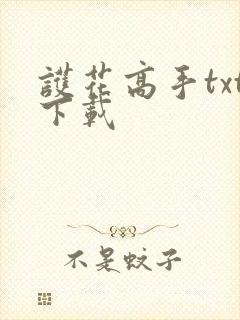 护花高手txt下载