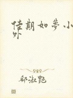 佳期如梦小说番外