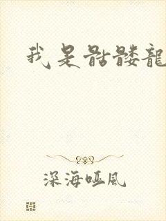 我是骷髅龙骑兵