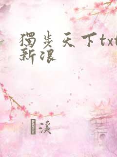 独步天下txt新浪