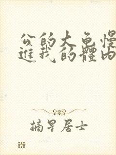 公的大龟慢慢挺进我的体内视频