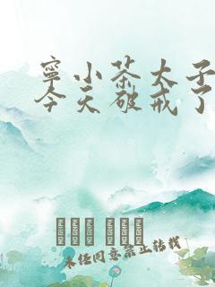 宁小茶太子殿下今天破戒了吗免费阅读