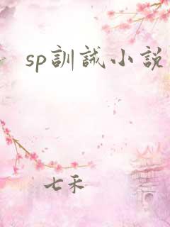 sp训诫小说