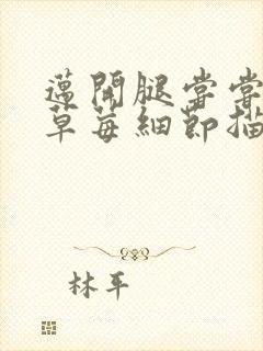 迈开腿尝尝你的草莓细节描写