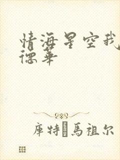 情海星空我与刘德华