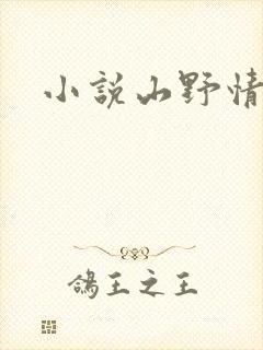 小说山野情债