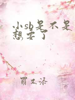 小sb是不是又想要了