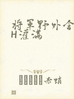 将军野外含公主H灌满