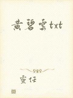黄碧云txt