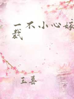 一不小心嫁给总裁