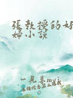 张教授的好儿媳妇小说