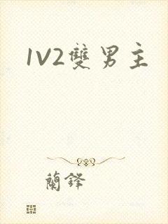 1V2双男主