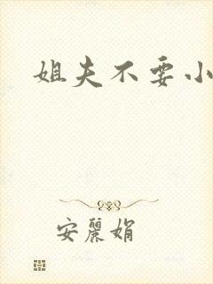 姐夫不要小说