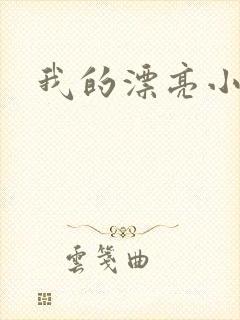 我的漂亮小后妈