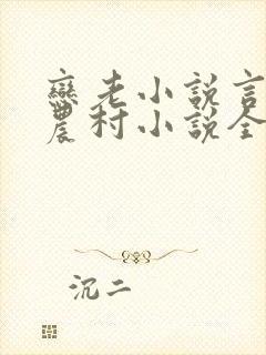 恋老小说言情网农村小说全文阅读