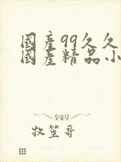 国产99久久久国产精品小说