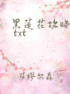 黑莲花攻略手册 txt