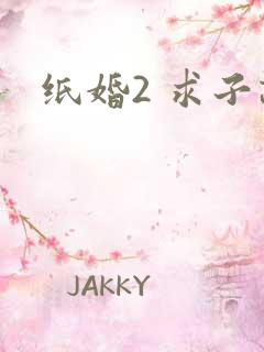 纸婚2 求子记