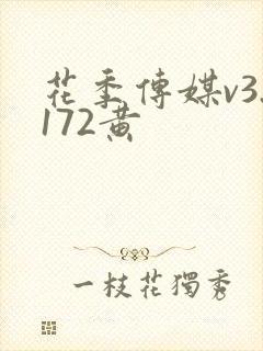 花季传媒v3.172黄