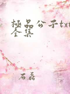 极品公子txt全集