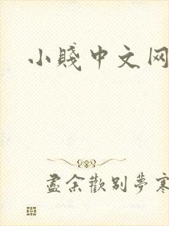 小贱中文网