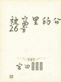 被窝里的公憩第26章