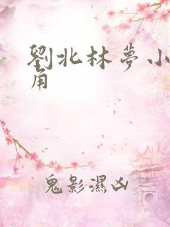刘北林梦小说主角