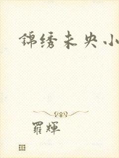 锦绣未央小说