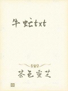 牛虻txt