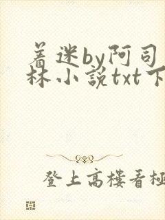 着迷by阿司匹林小说txt下载