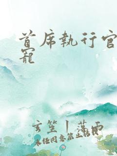 首席执行官的绝宠