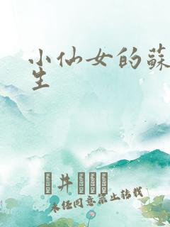 小仙女的苏撩先生