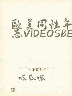 欧美同性年轻同志VIDEOSBEST