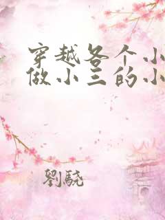 穿越各个小世界做小三的小说