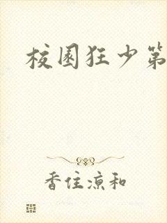 校园狂少第二部