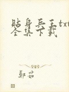 贴身兵王txt全集下载