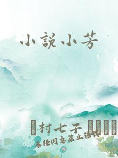 小说小芳