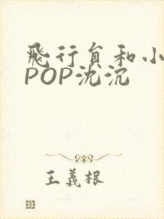 飞行员和小空乘POP沈沉