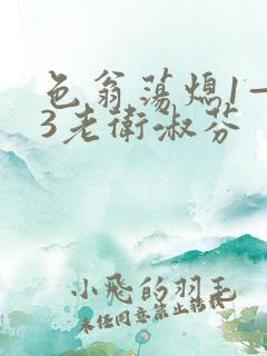 色翁荡熄1—13老卫淑芬