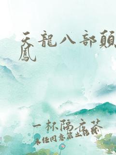 天龙八部颠龙鸾凤