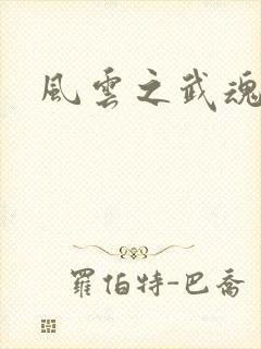 风云之武魂