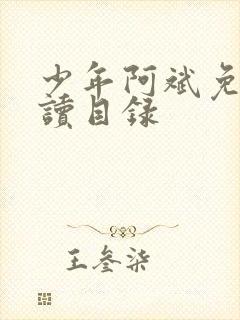 少年阿斌免费阅读目录