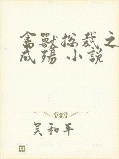 禽兽总裁之虐爱成殇 小说