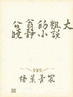 公翁的粗大放进晓静小说