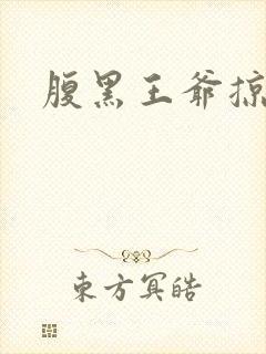 腹黑王爷掠邪妃