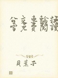 公交车轮换C程雪免费阅读