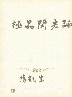 极品开光师阅读