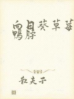 向日葵草莓丝瓜鸭脖