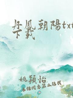 丹凤朝阳txt下载